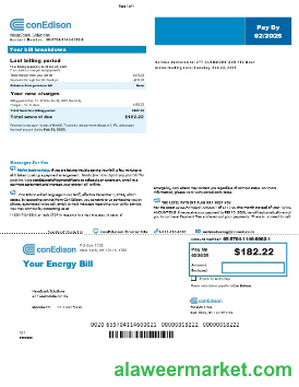 USA New York Conedison business utility bill Word and PDF template, version 2